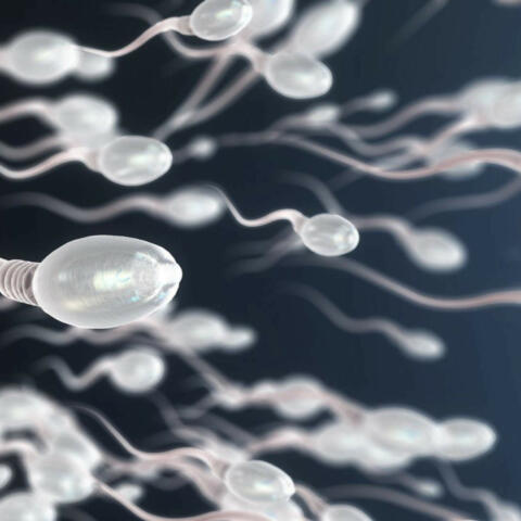 2022 06 20 sperma pfizer