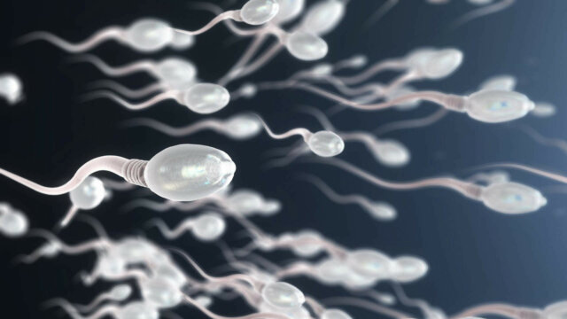 2022 06 20 sperma pfizer